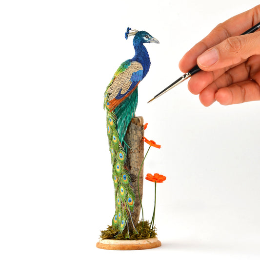 Peacock
