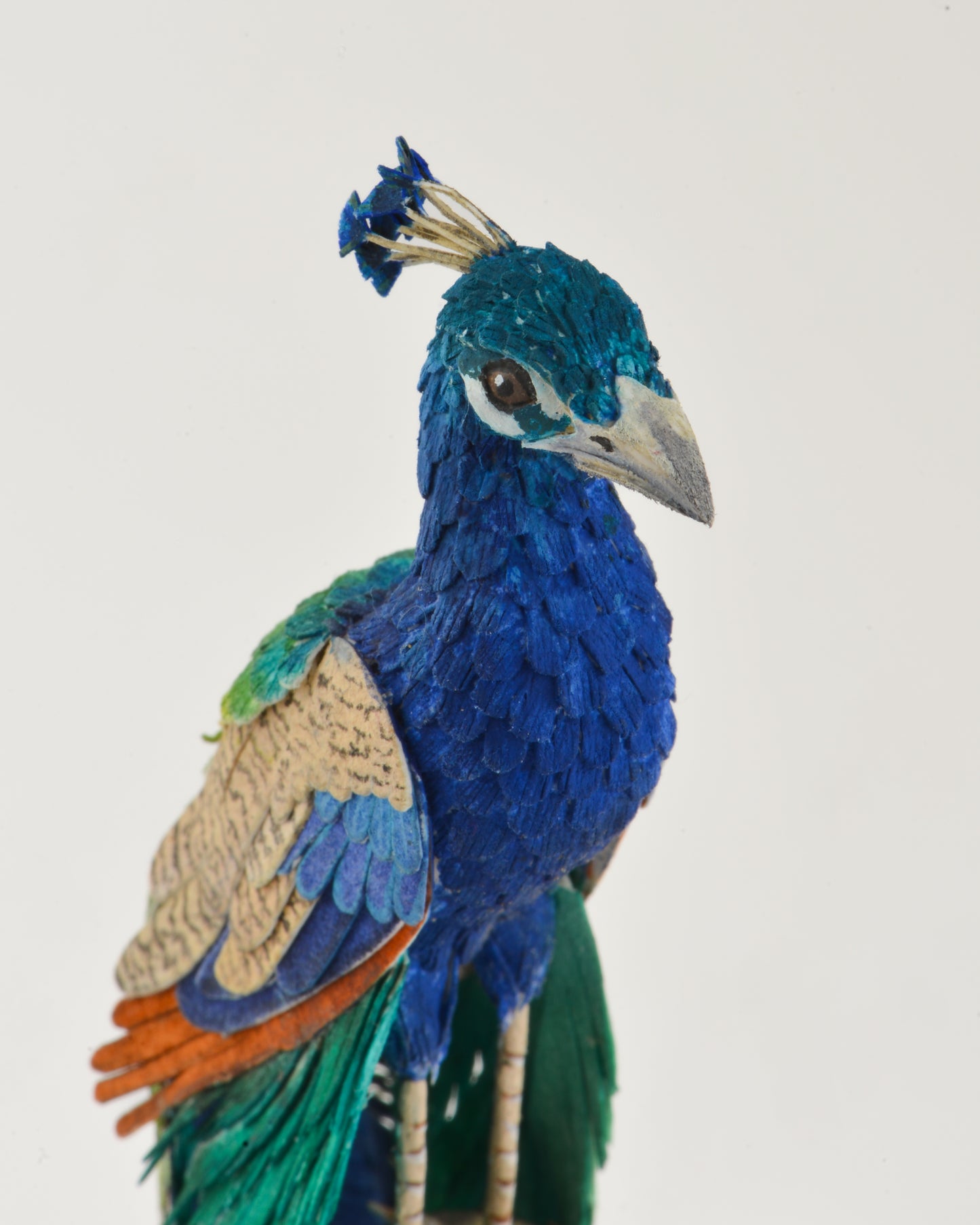 Peacock
