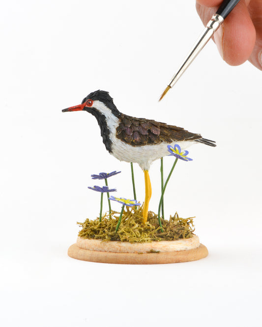 Red wattled Lapwing