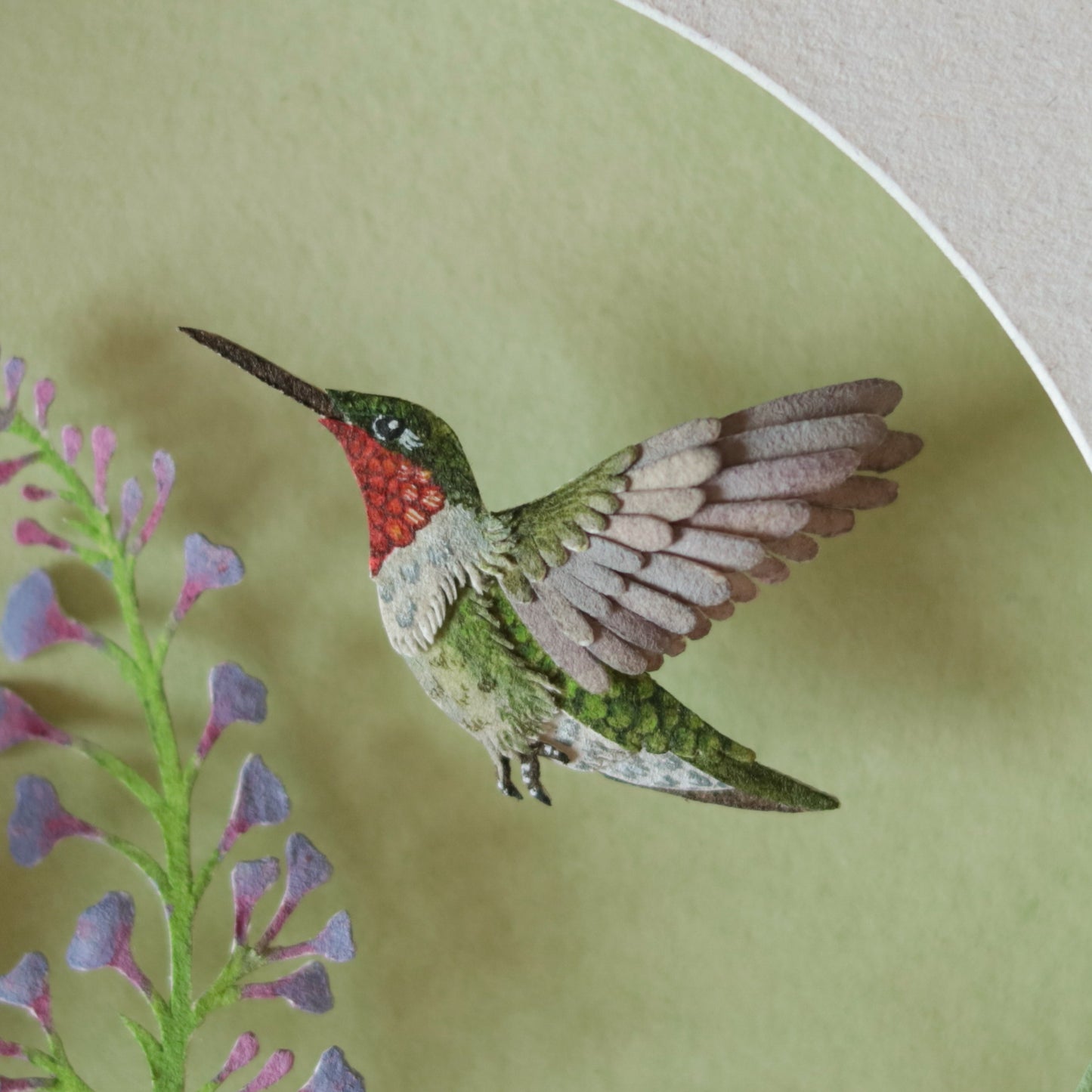 Ruby throated hummingbird
