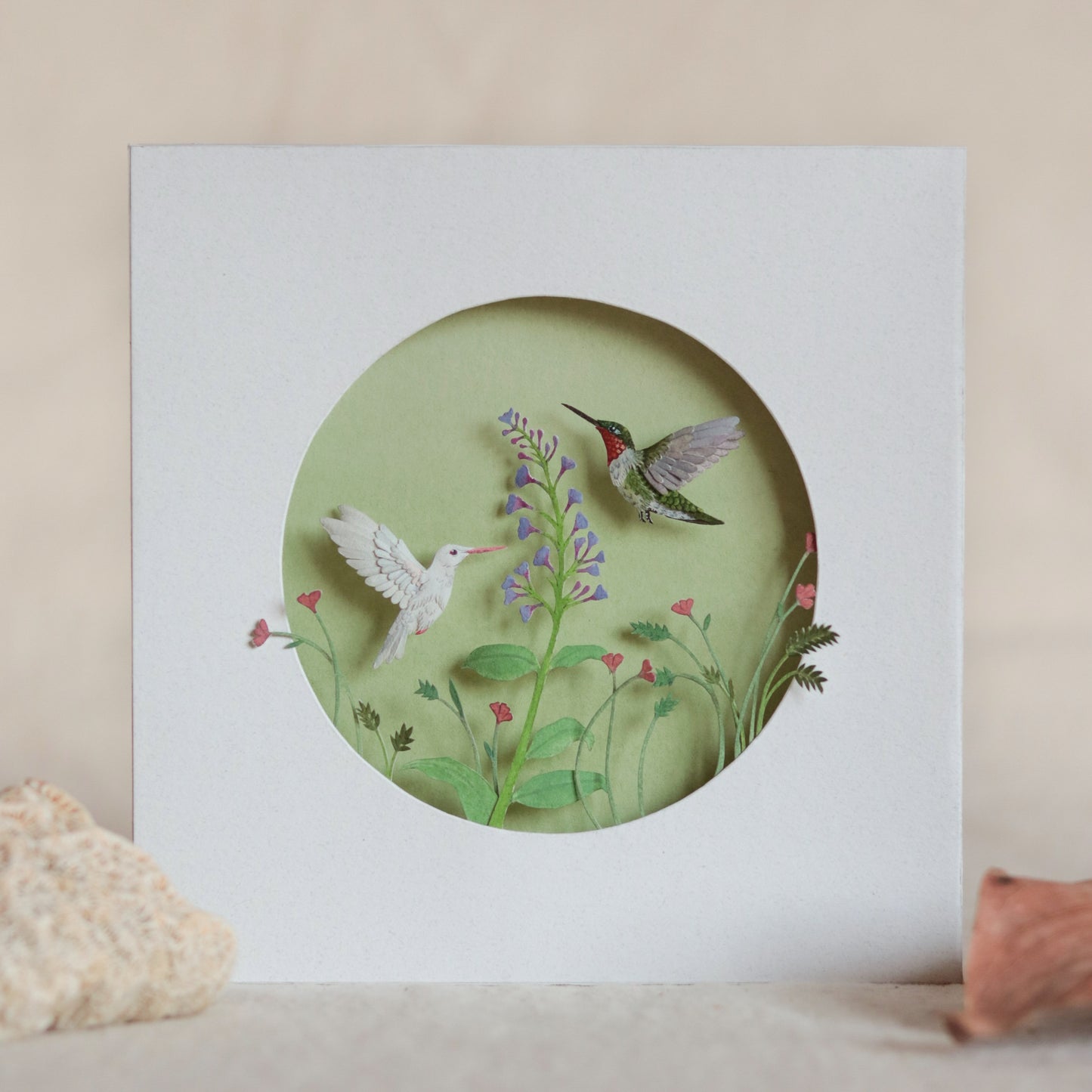 Ruby throated hummingbird