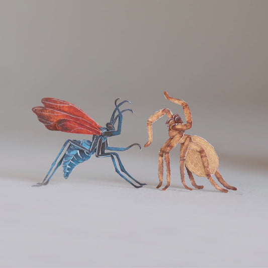 Tarantula Hawk Wasp vs Huntsman Spider