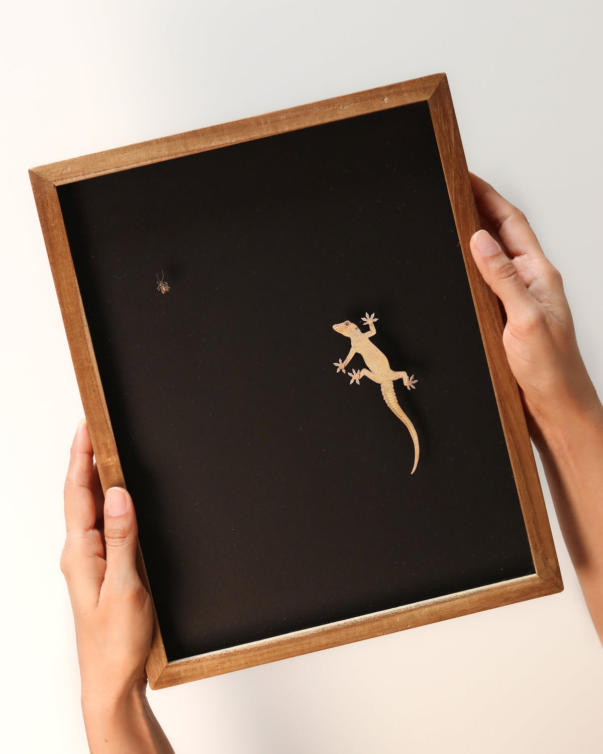 Miniature Paper Cut Wildlife Art – The Paper Ark