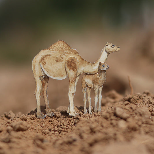 Dromedary Arabian Camel with Baby