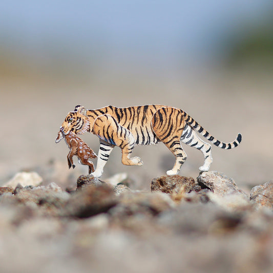 Bengal Tiger