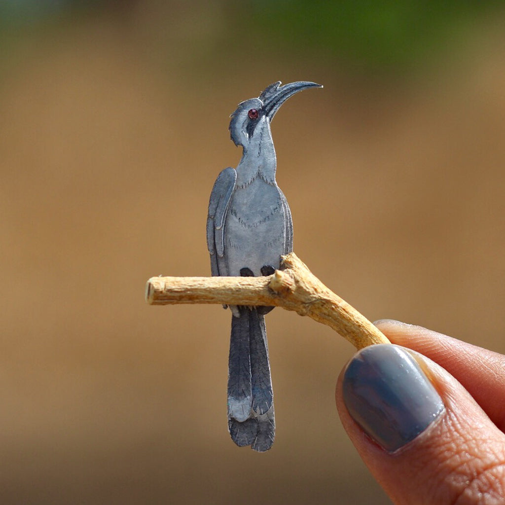 Indian Grey Hornbill