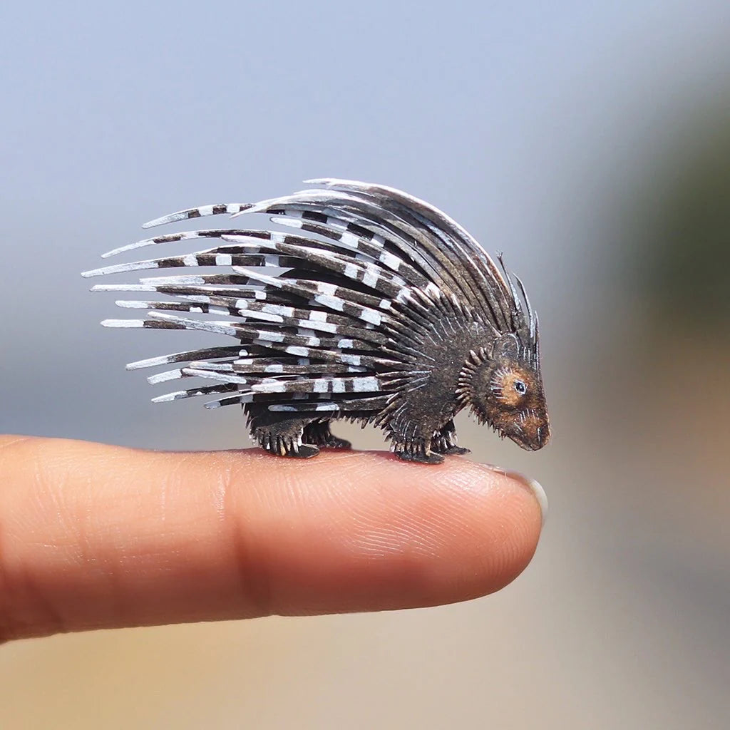 Indian Pangolin + Crested Porcupine