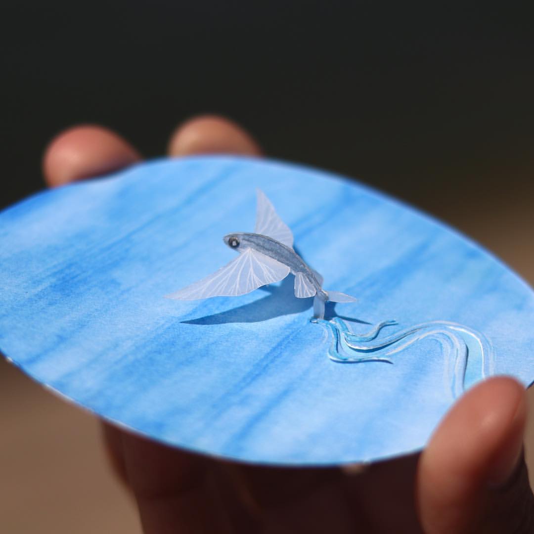 Flying fish – The Paper Ark