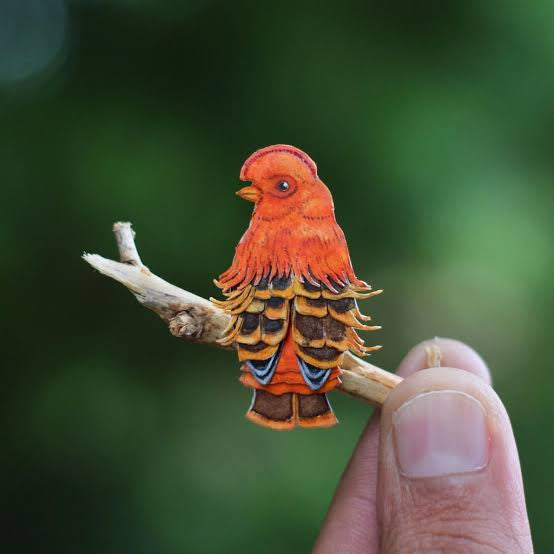 Guianan Cock-of-the-Rock