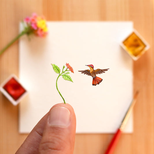 Ruby Topaz hummingbird