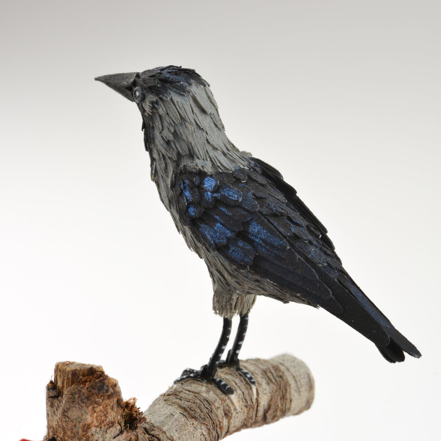 Crow in Poppy fields