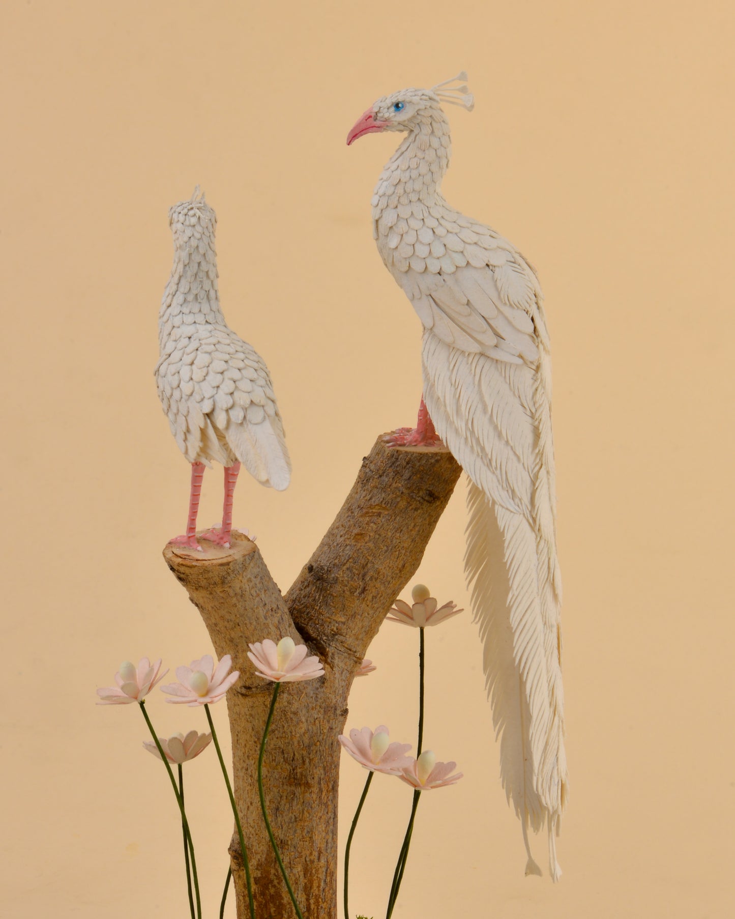 A Delicate Duet: Albino Peacock Love