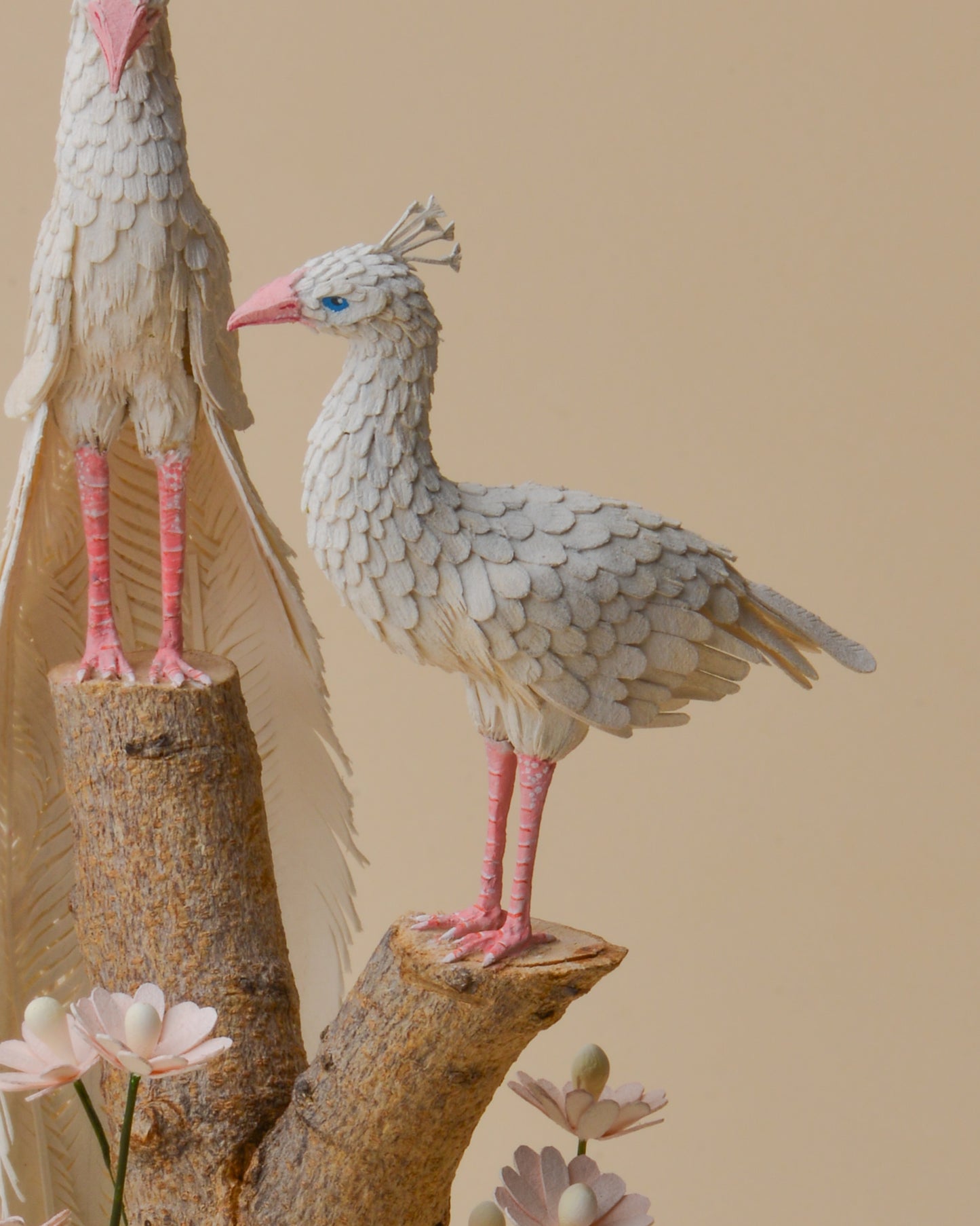 A Delicate Duet: Albino Peacock Love