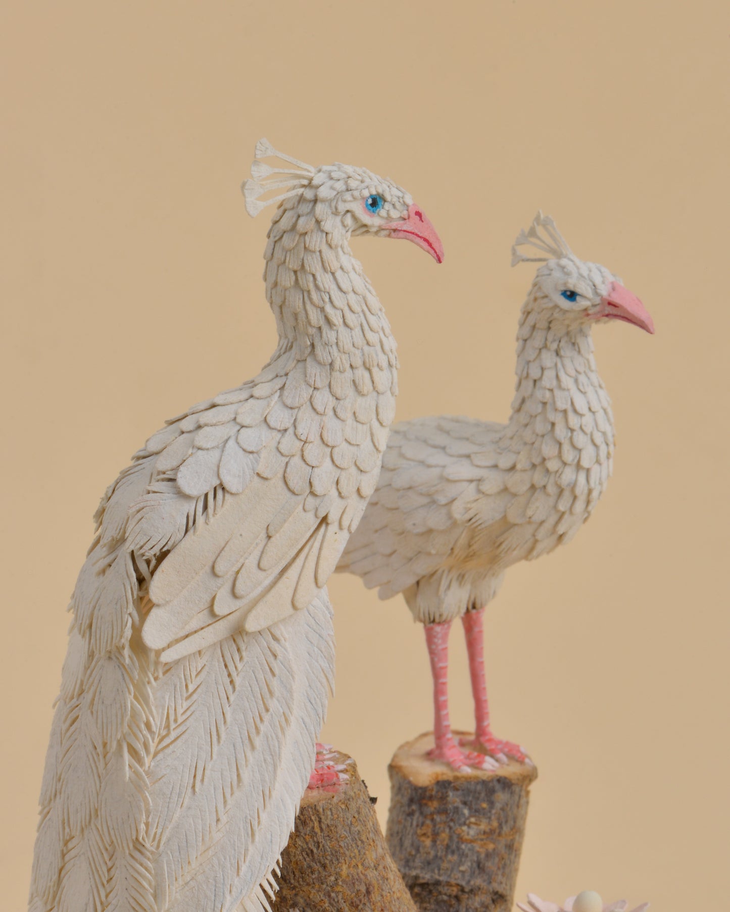 A Delicate Duet: Albino Peacock Love