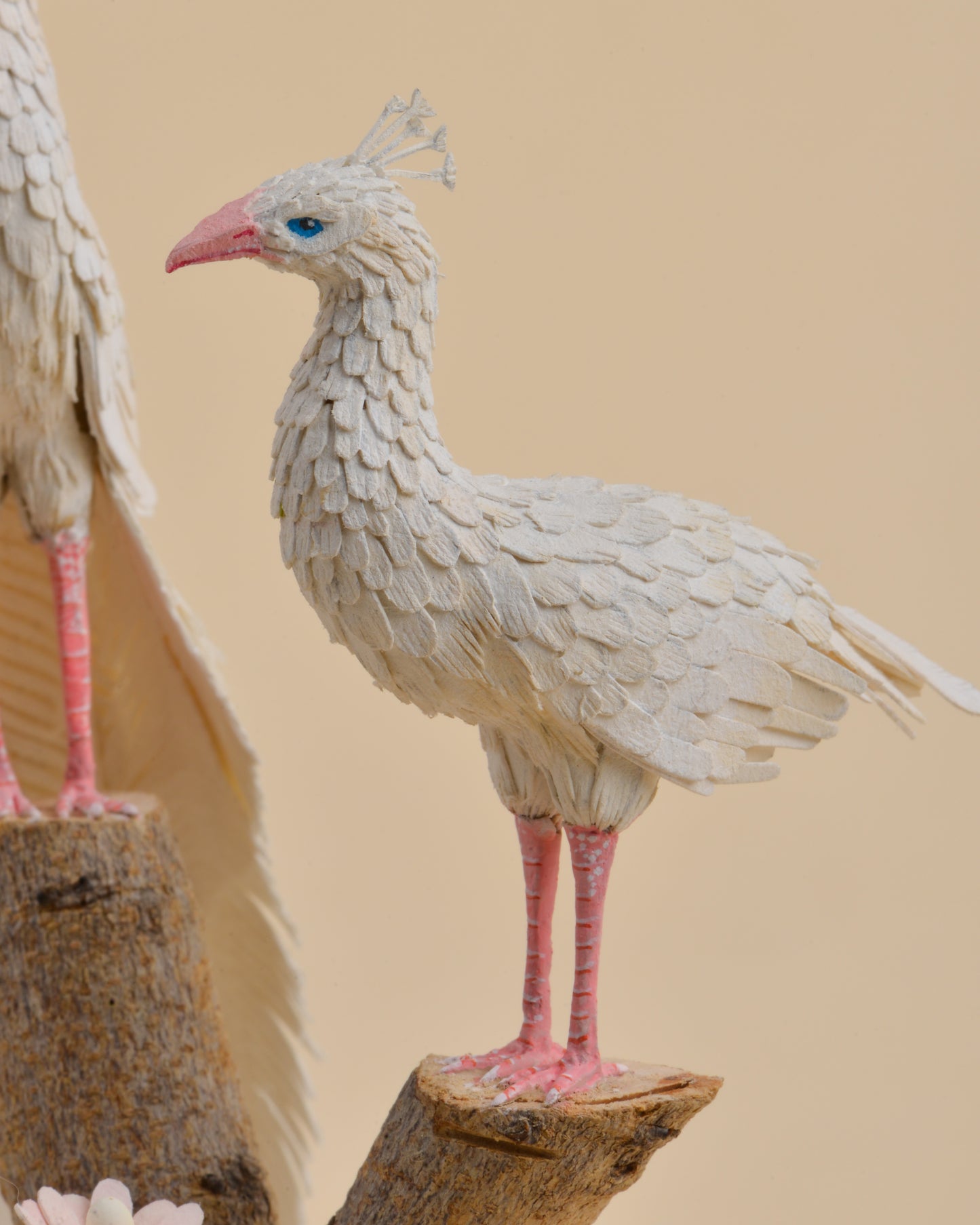 A Delicate Duet: Albino Peacock Love