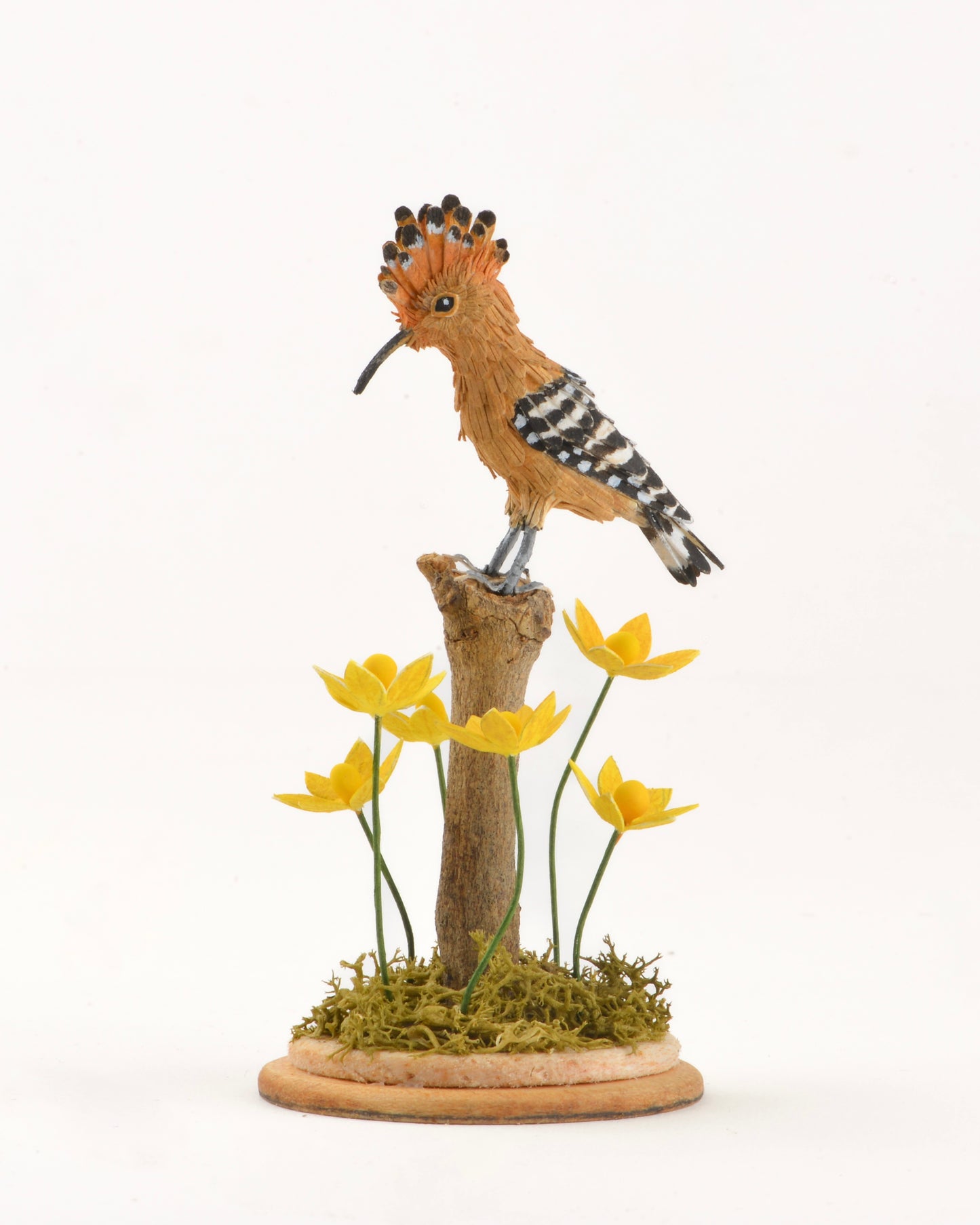 Eurasian Hoopoe