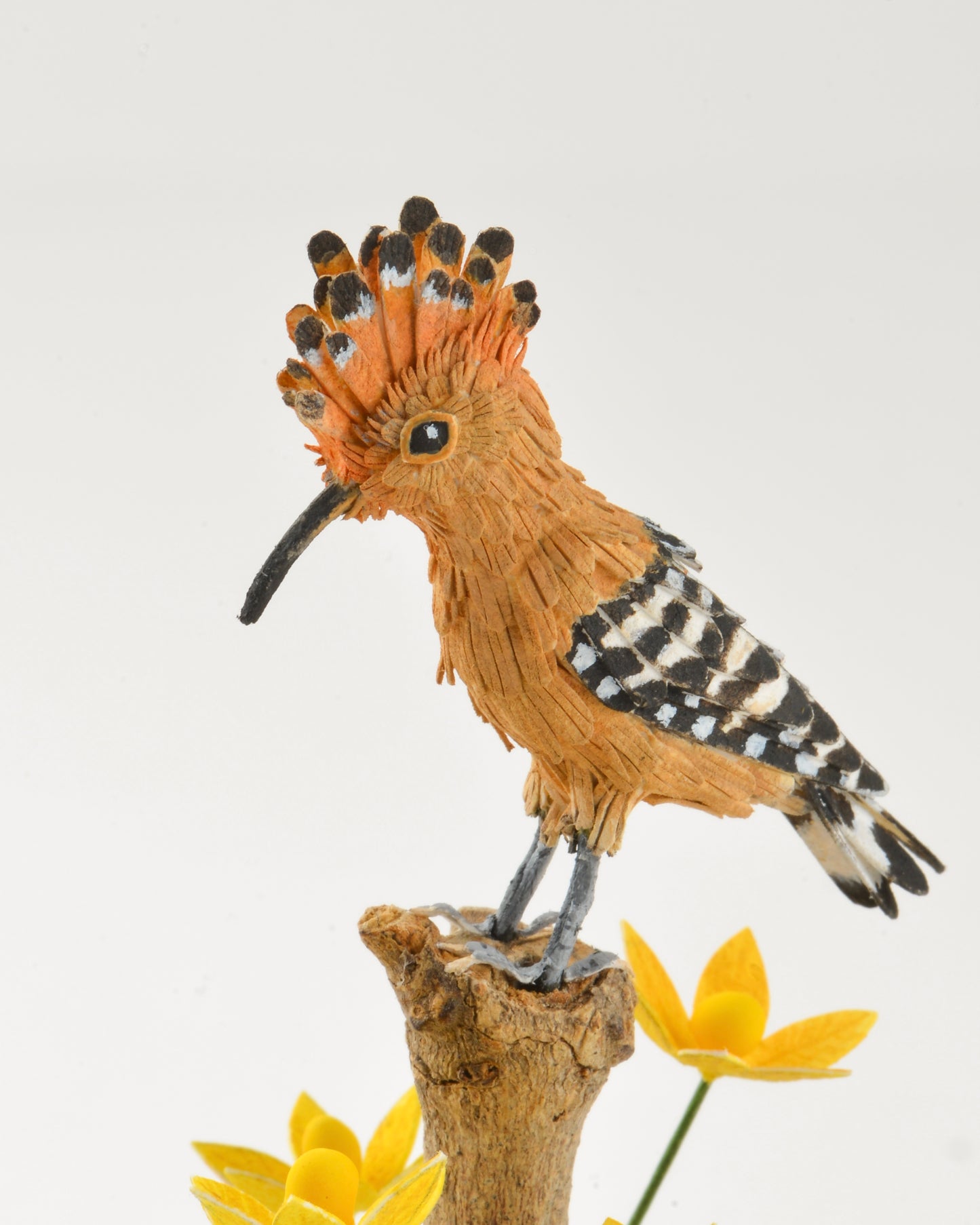 Eurasian Hoopoe