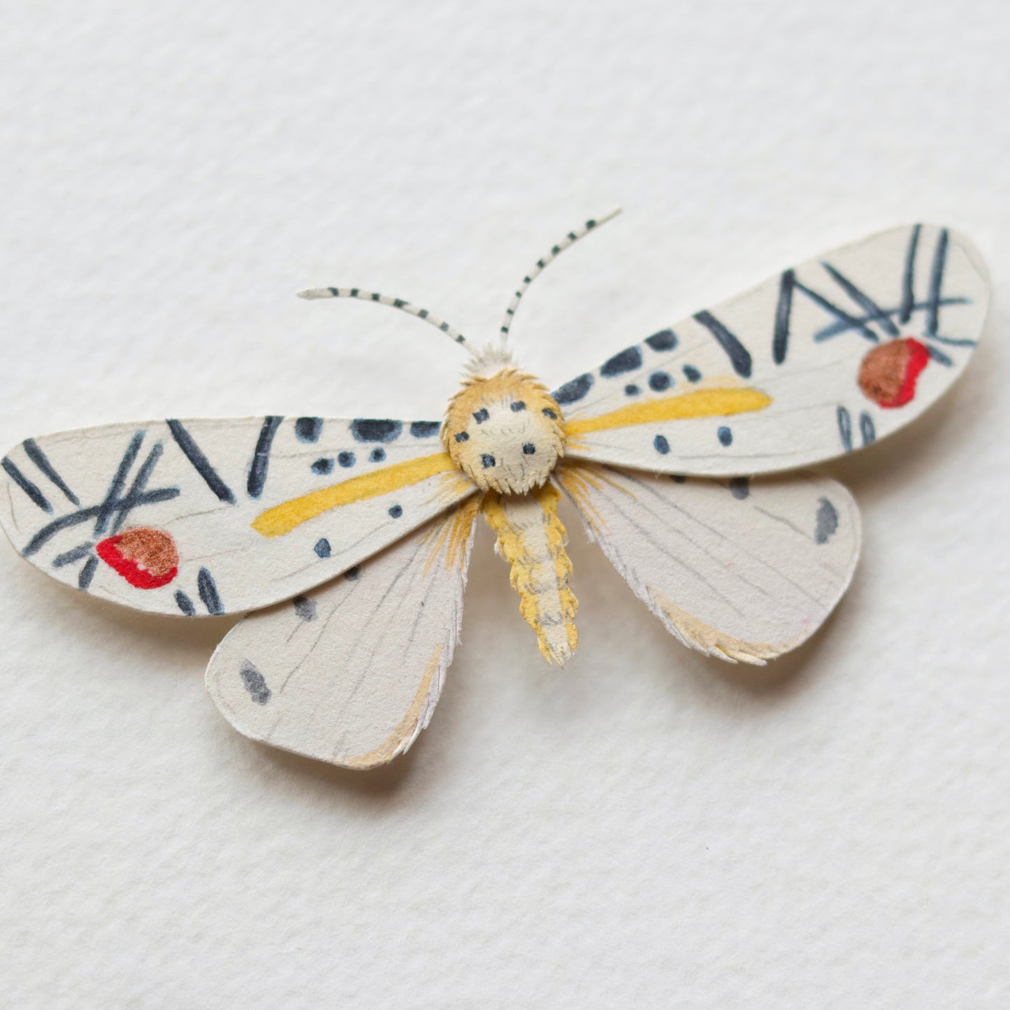 Picasso Moth