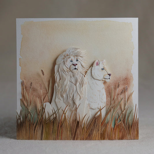 African Lion couple
