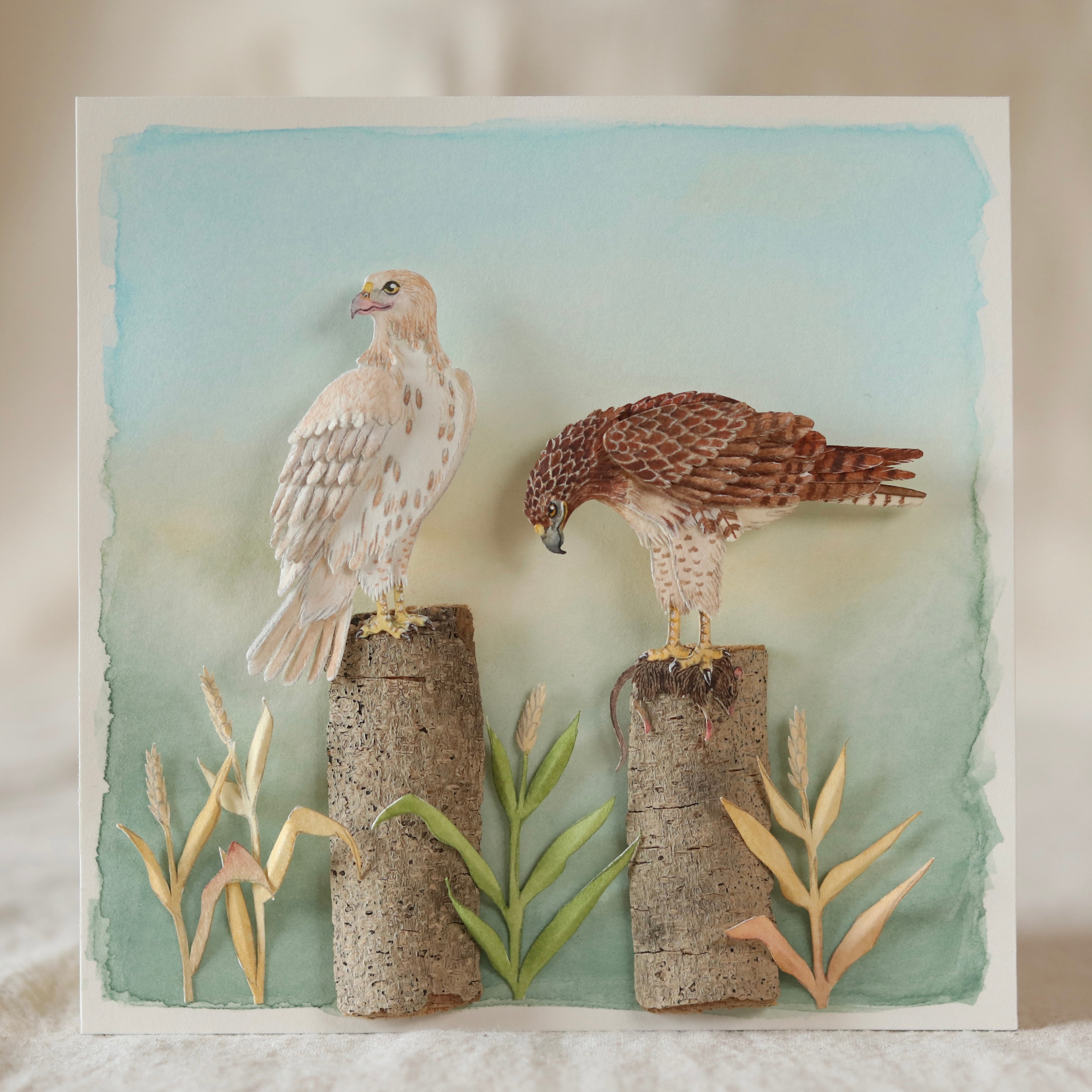 Red tailed Hawk – The Paper Ark