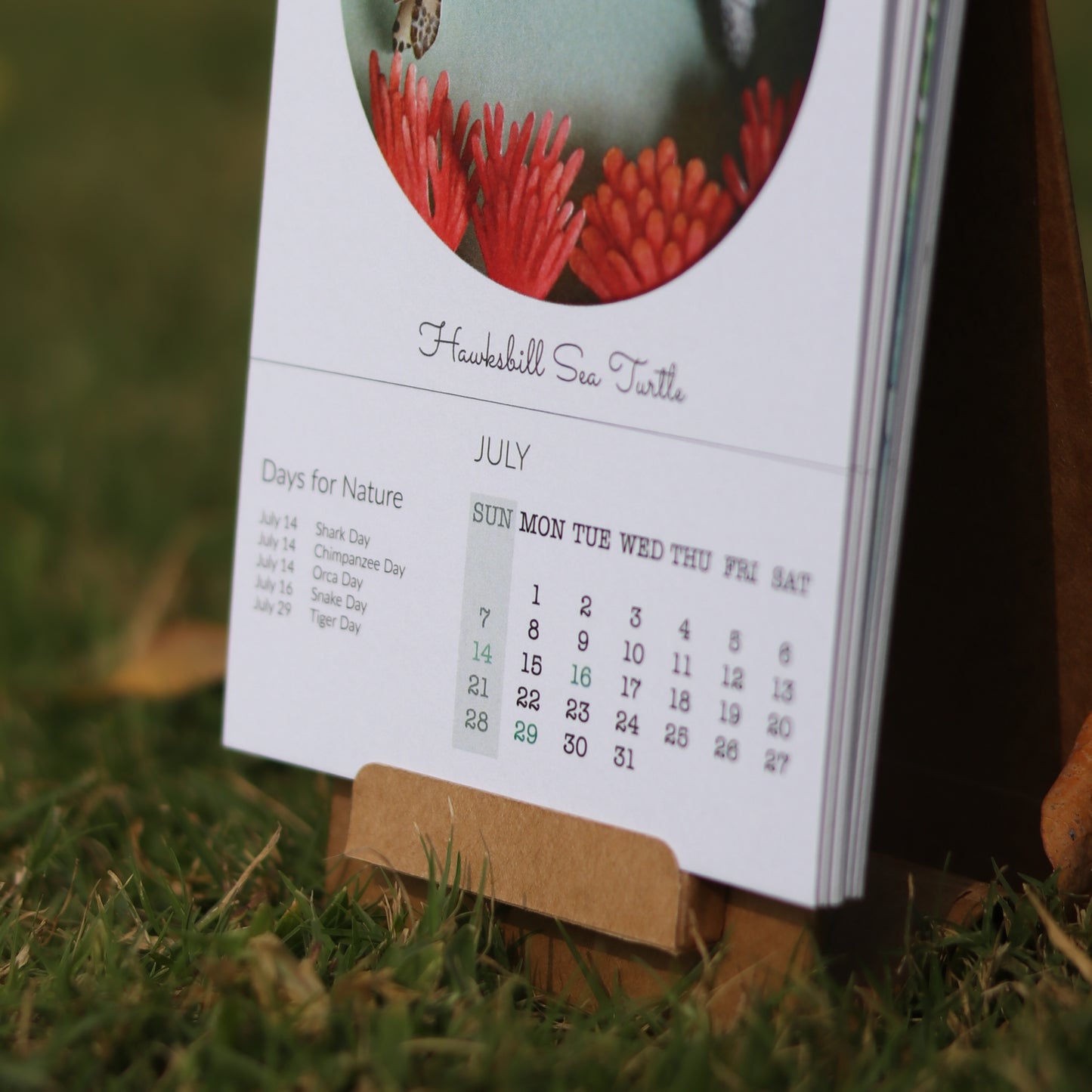 Desk Calendar by The Paper Ark