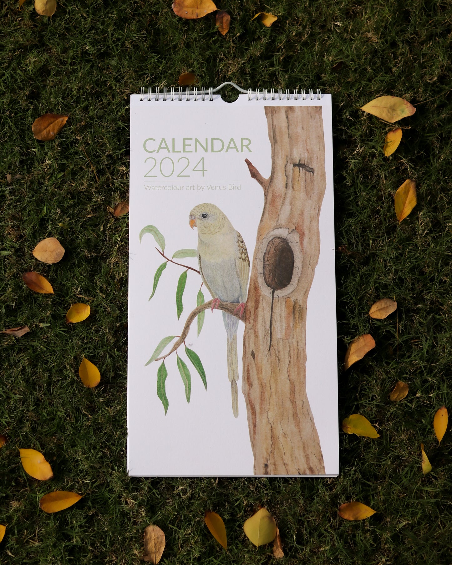 Bird Calendar by Venus Bird