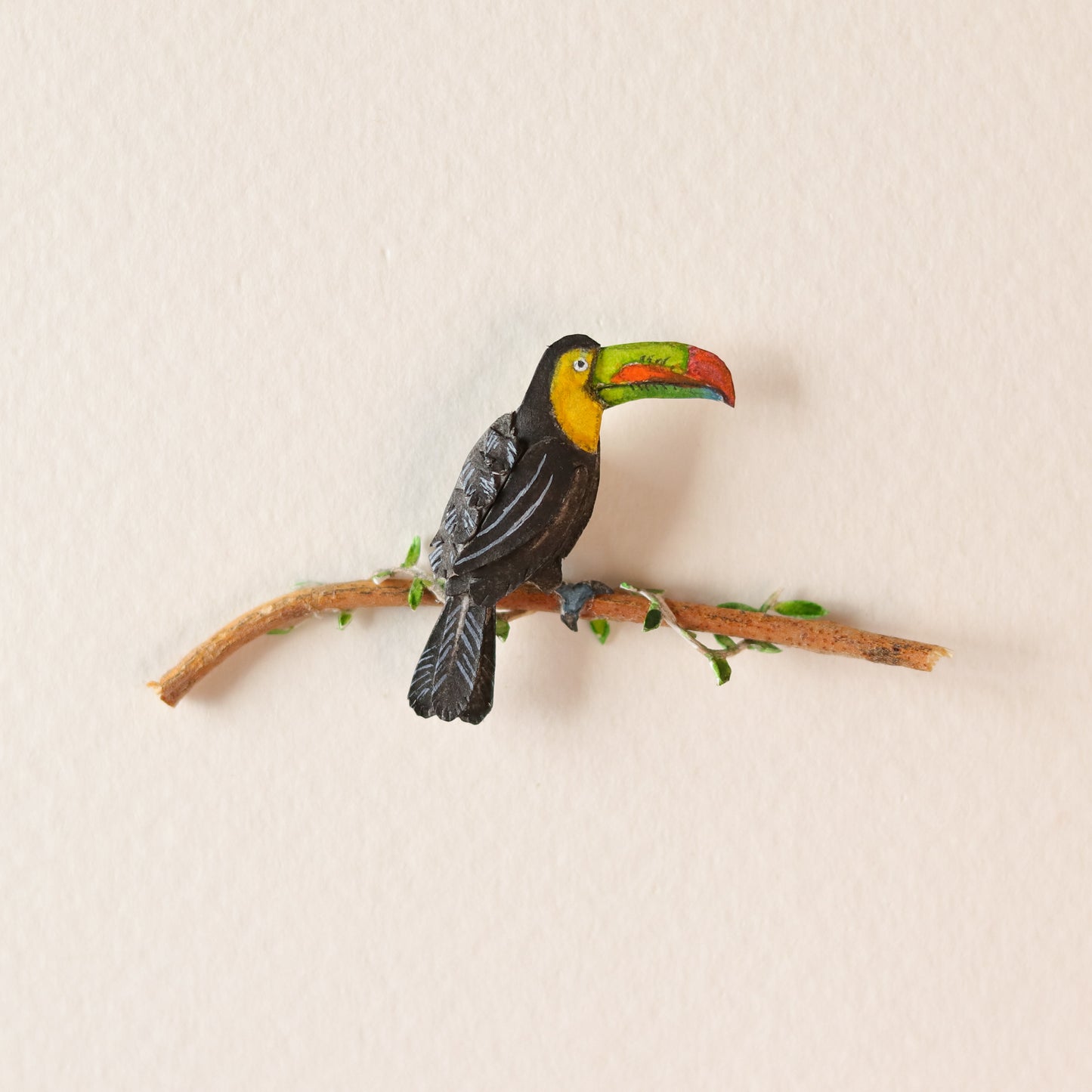 Toco Toucan