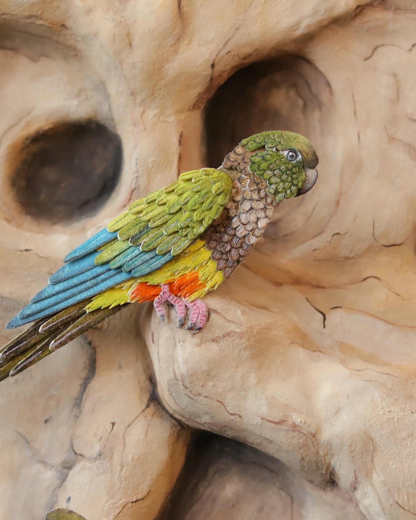 Burrowing Parrot