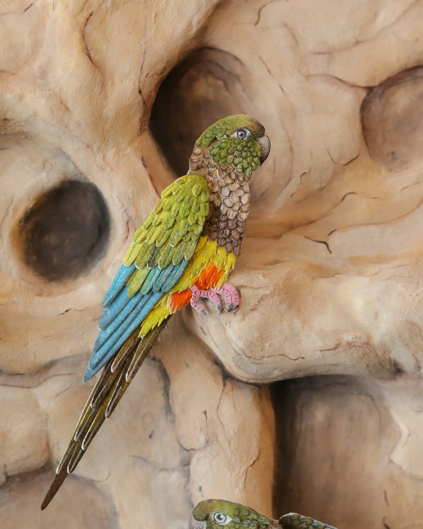 Burrowing Parrot