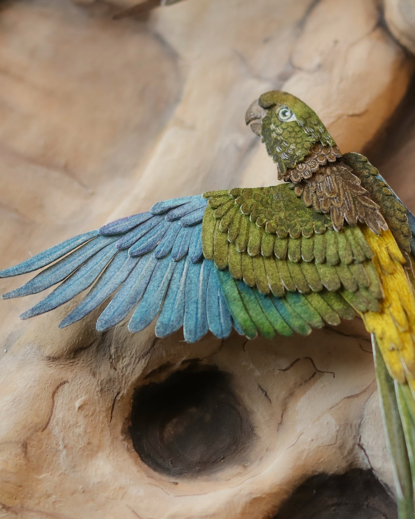 Burrowing Parrot