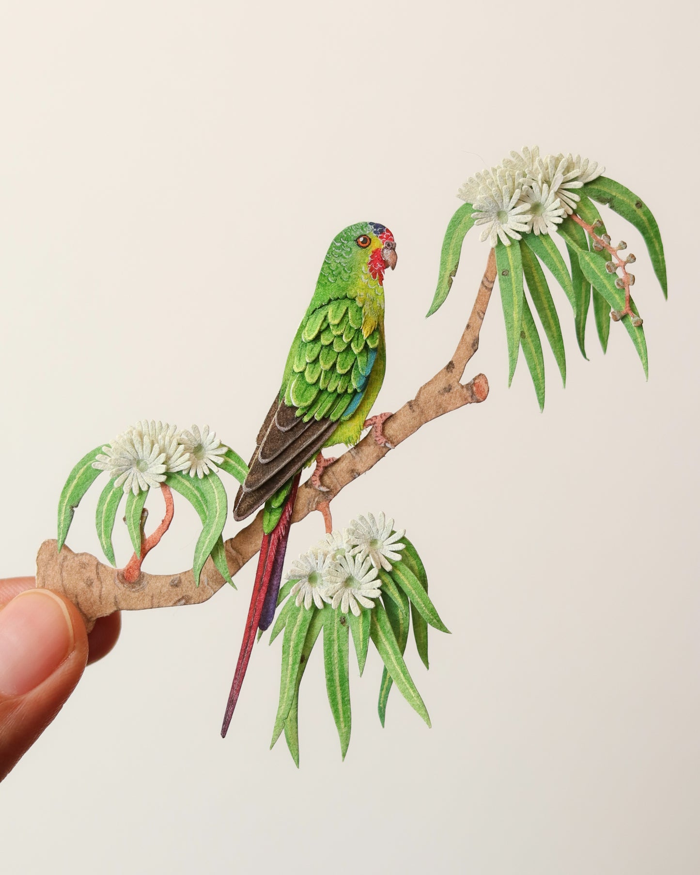 Swift Parrot