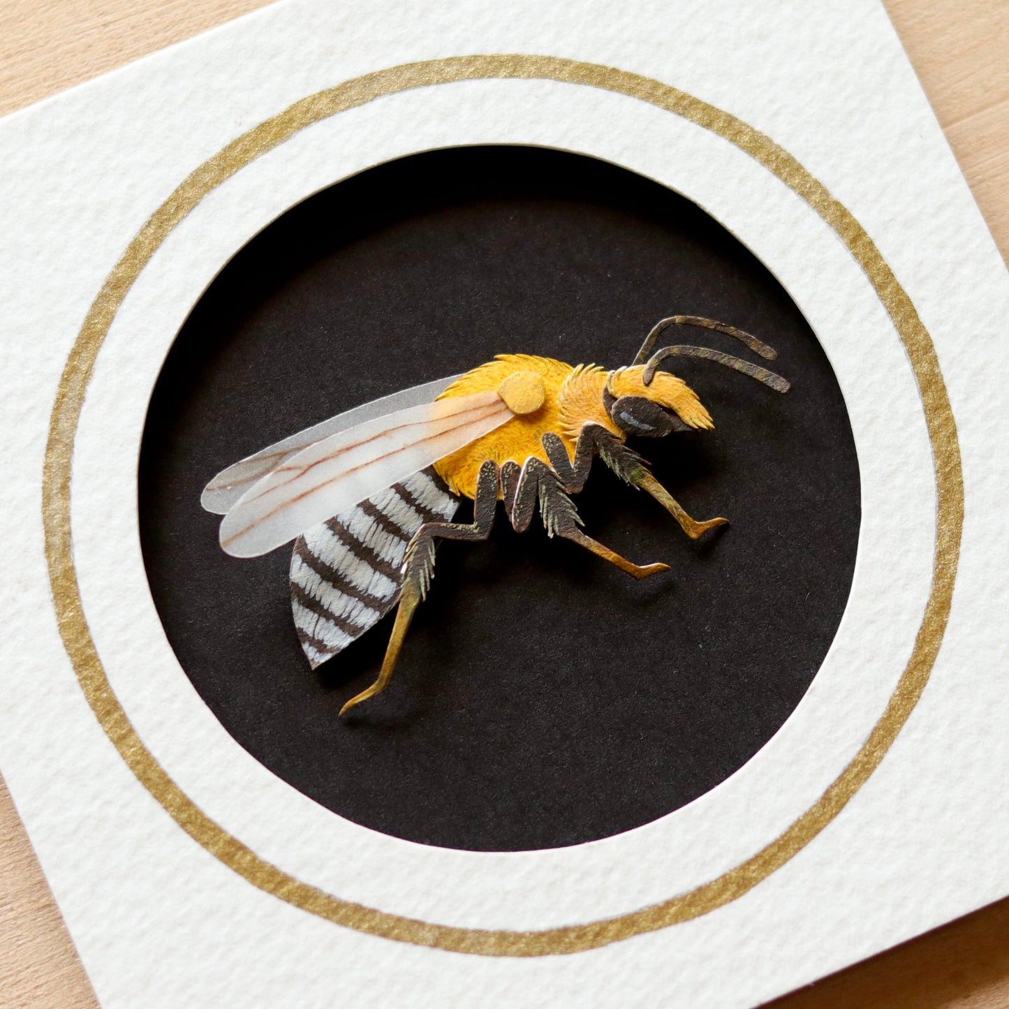 Squash Bee