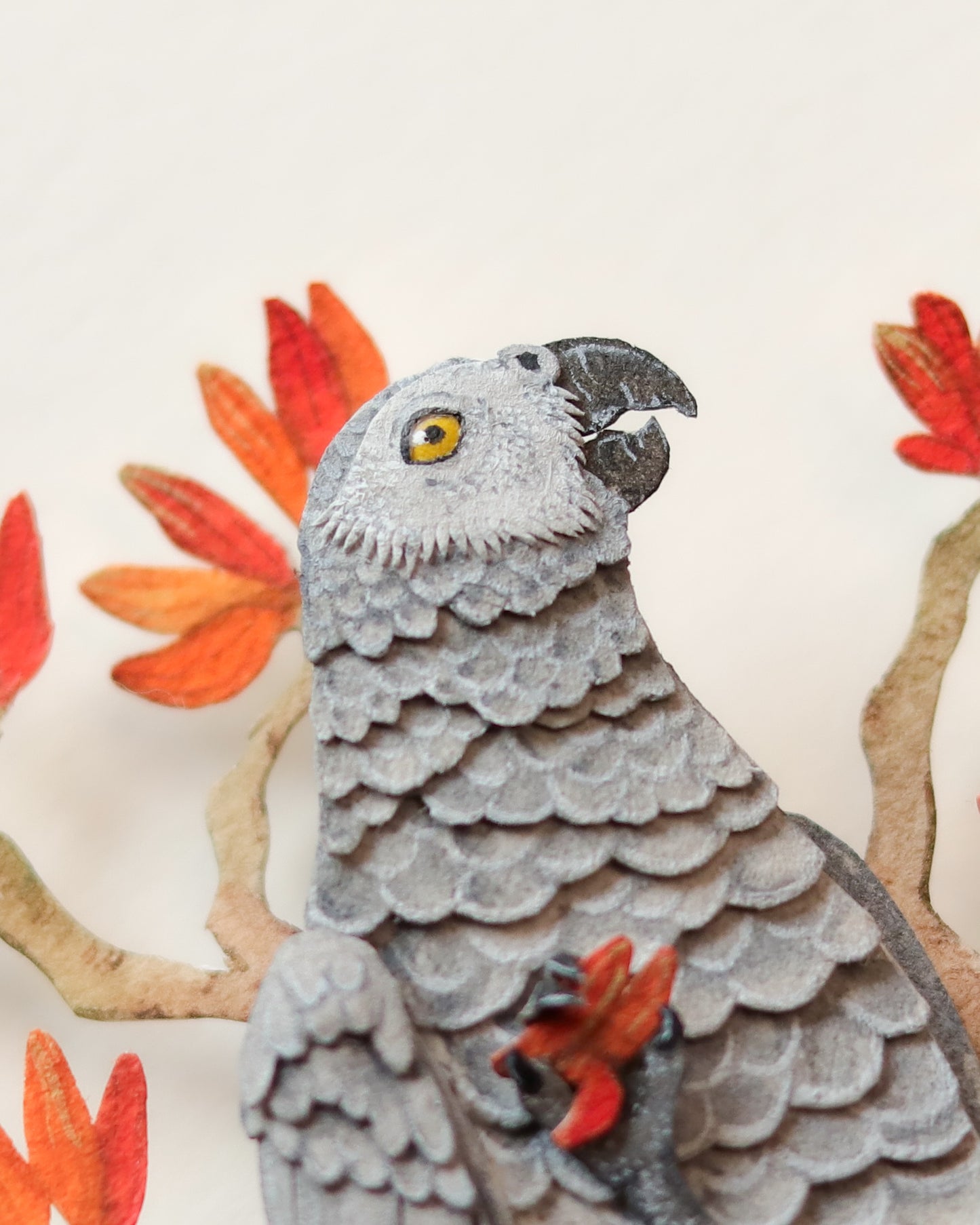 African Grey Parrot