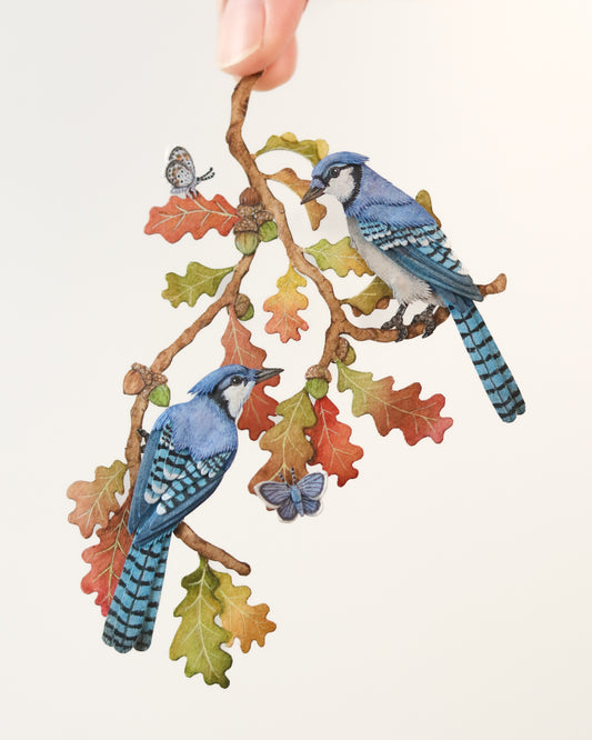 Blue Jays in autumn