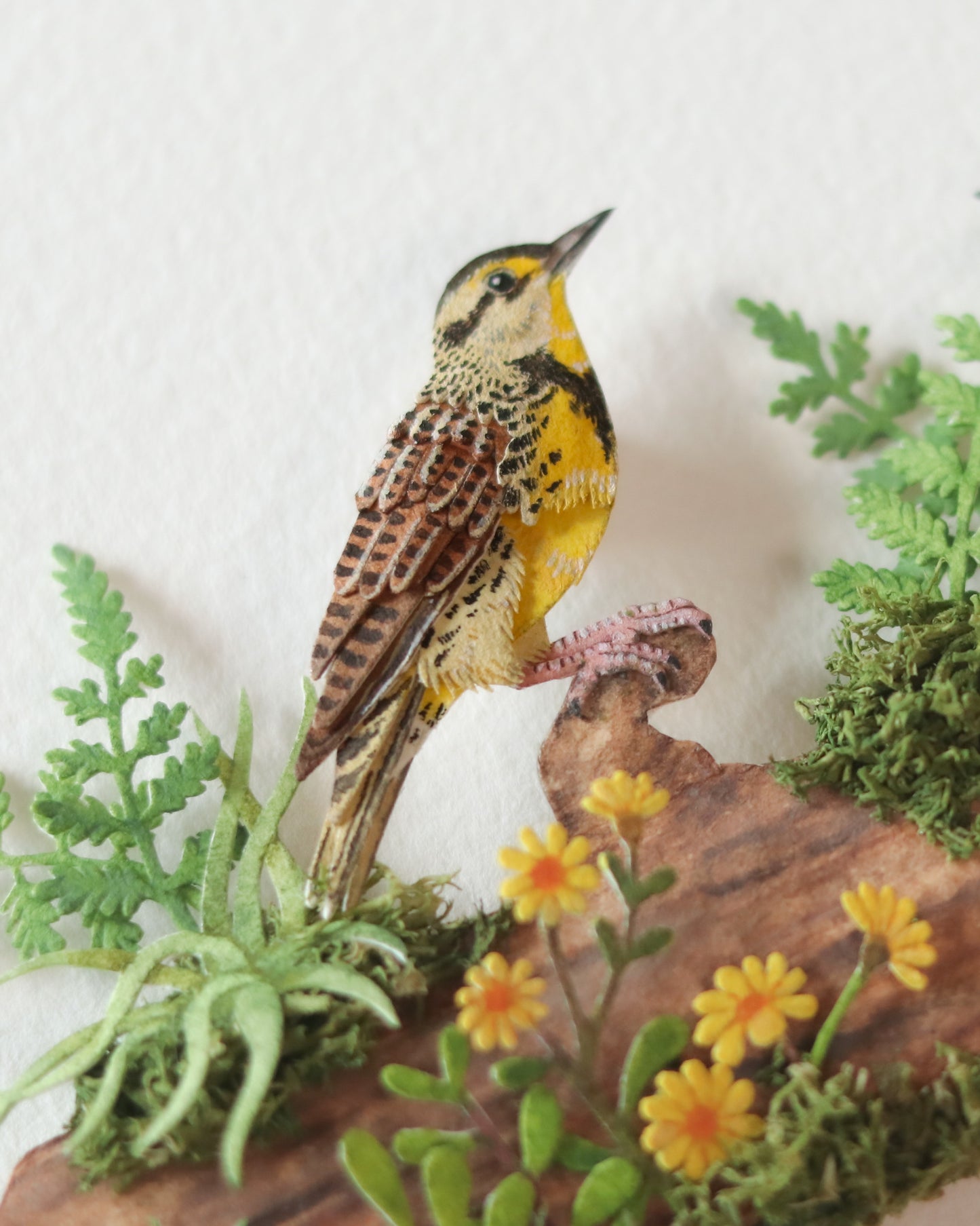 Eastern Meadowlark
