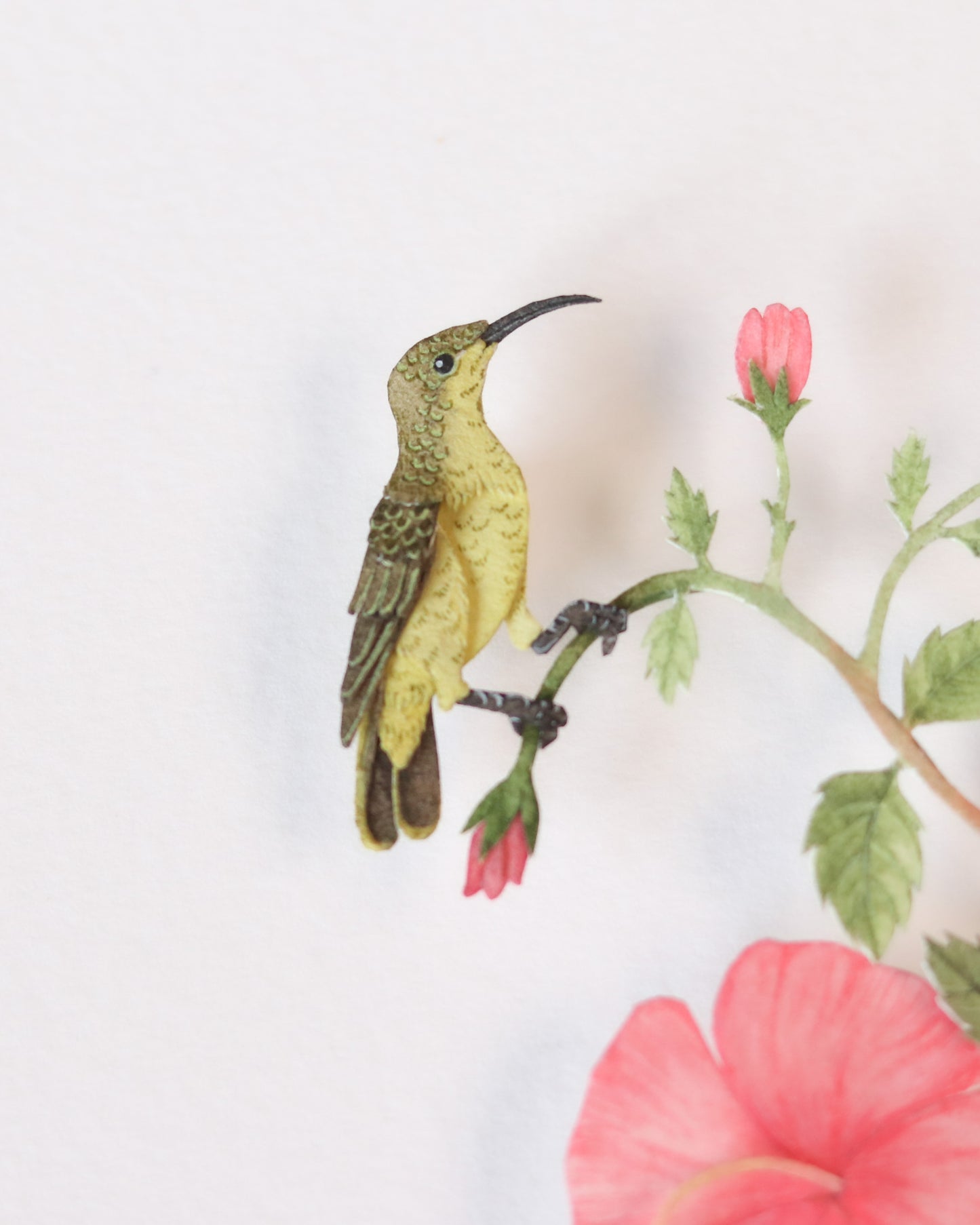 Purple Sunbird