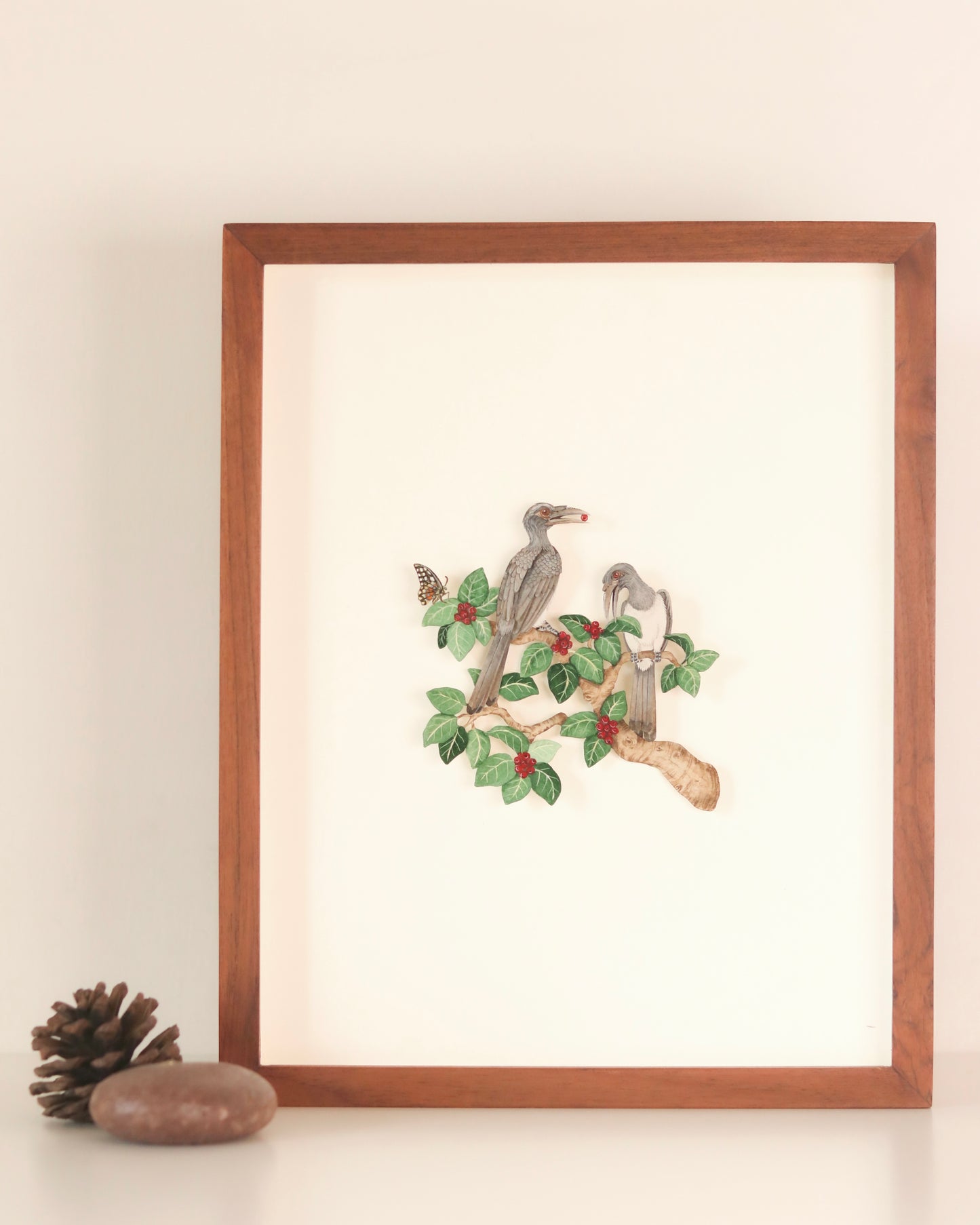 Indian Grey Hornbill