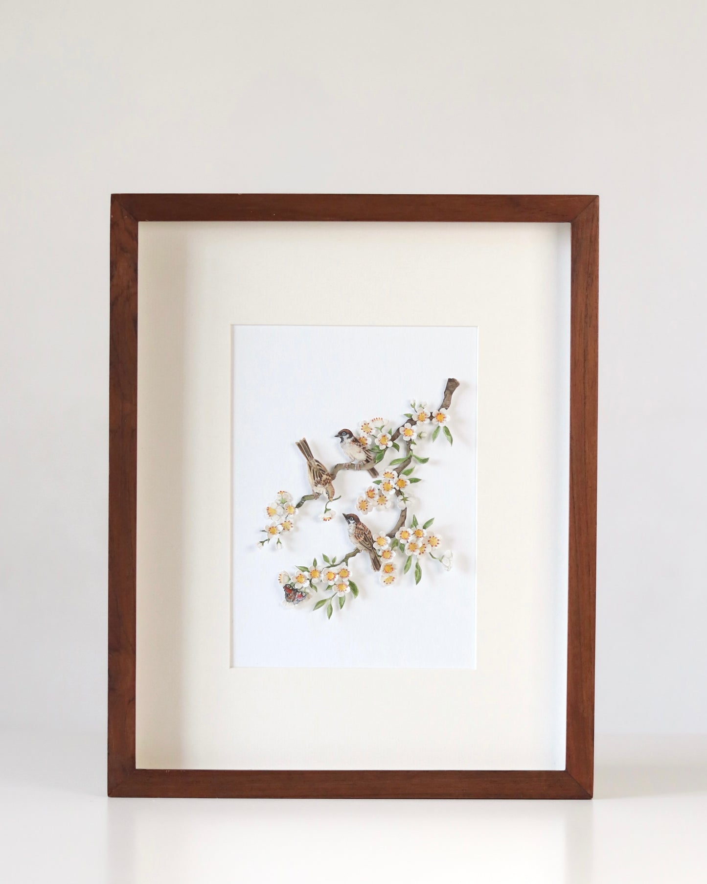 House Sparrow in cherry blossom