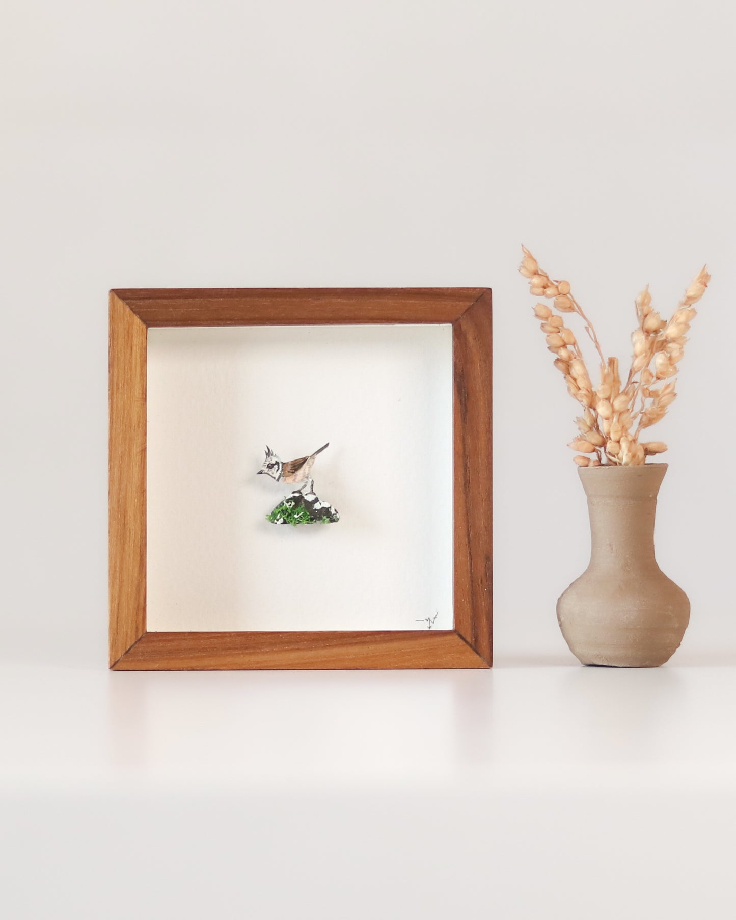 Crested Tit