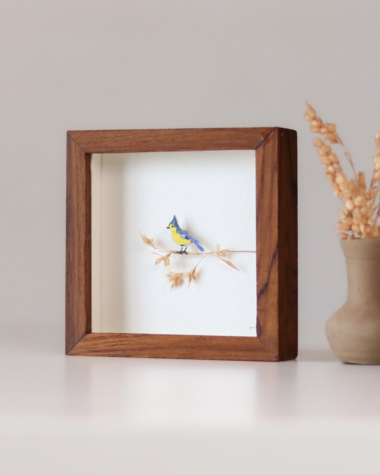 Yellow Tit