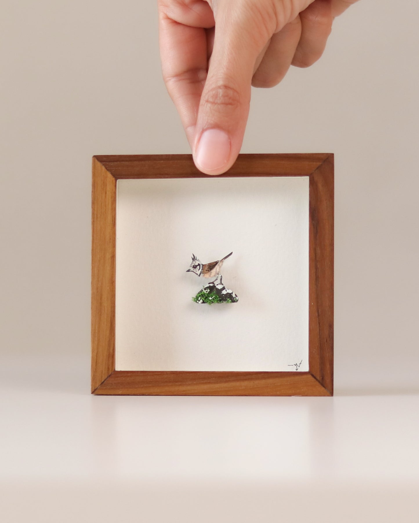 Crested Tit