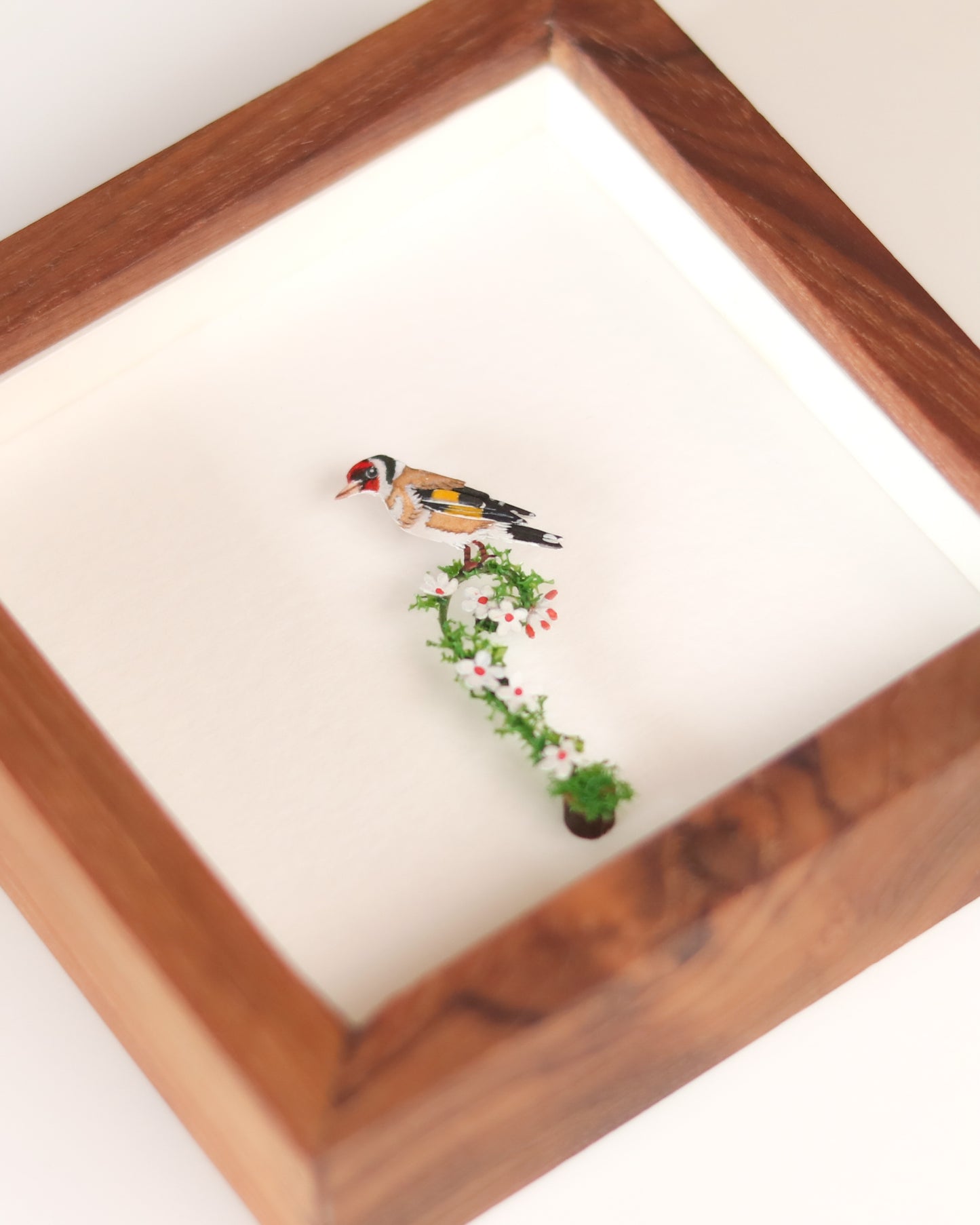 European Goldfinch