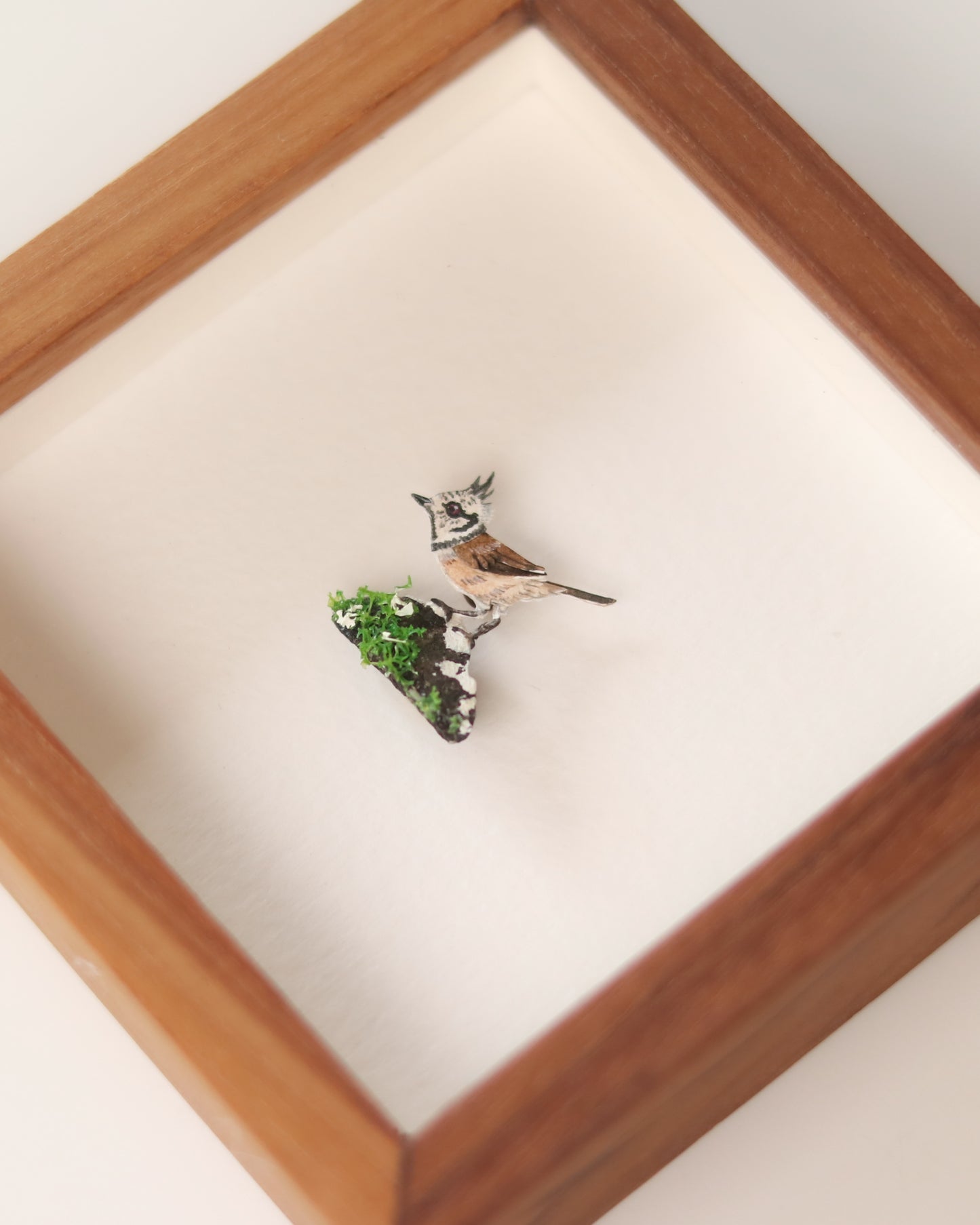 Crested Tit