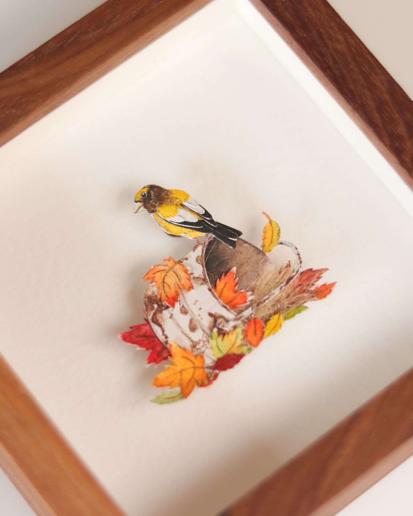Evening Grosbeak