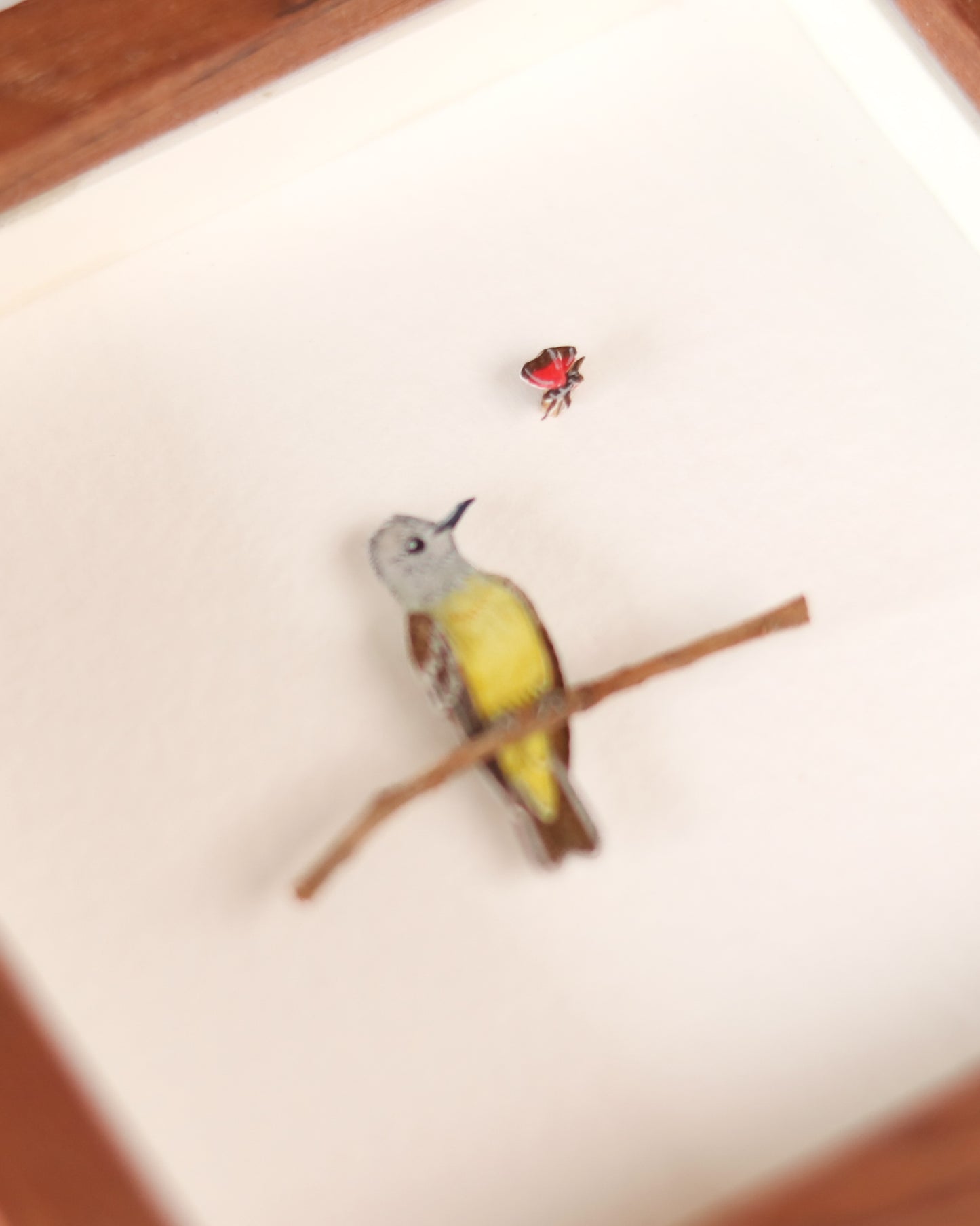 Western Kingbird