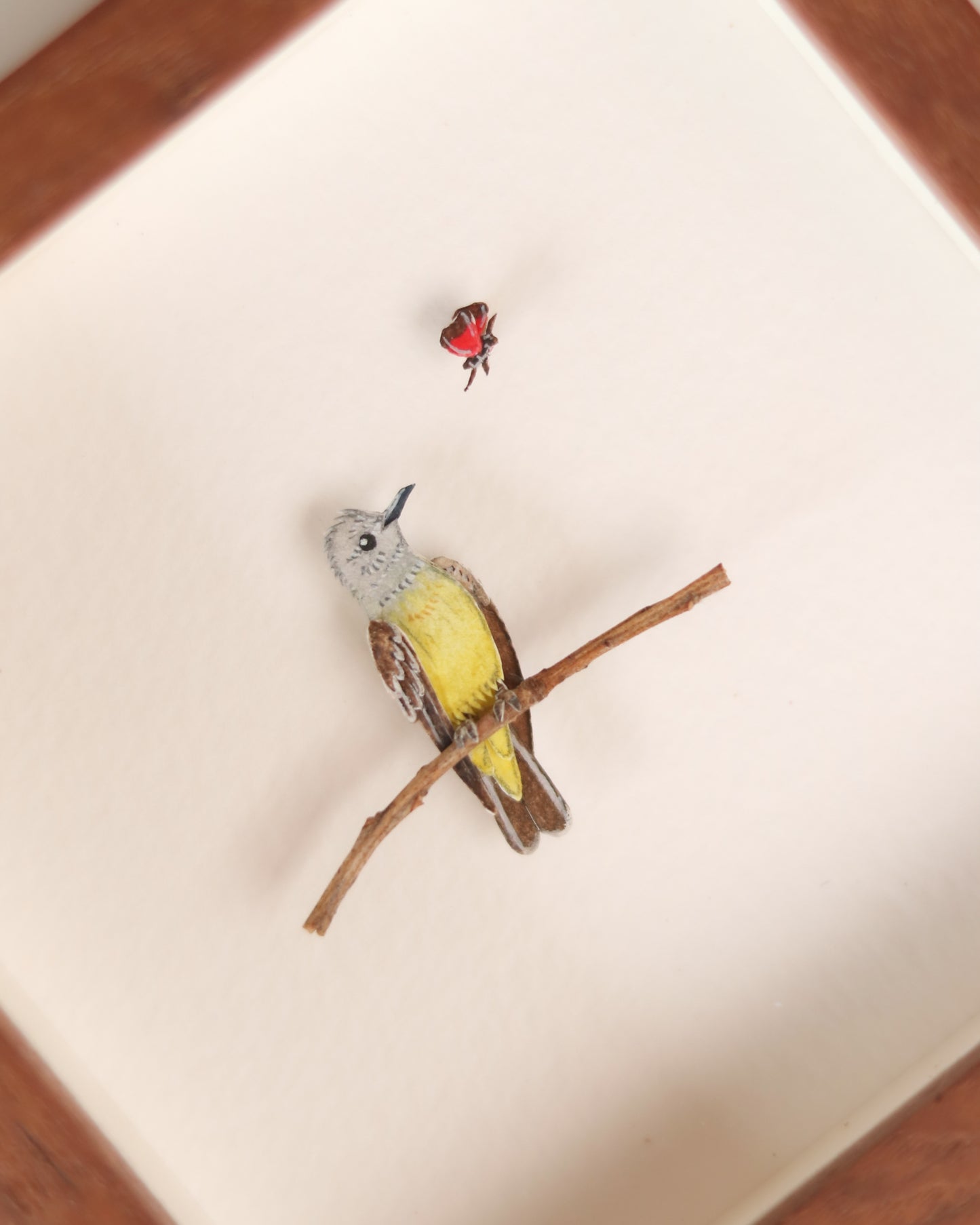 Western Kingbird