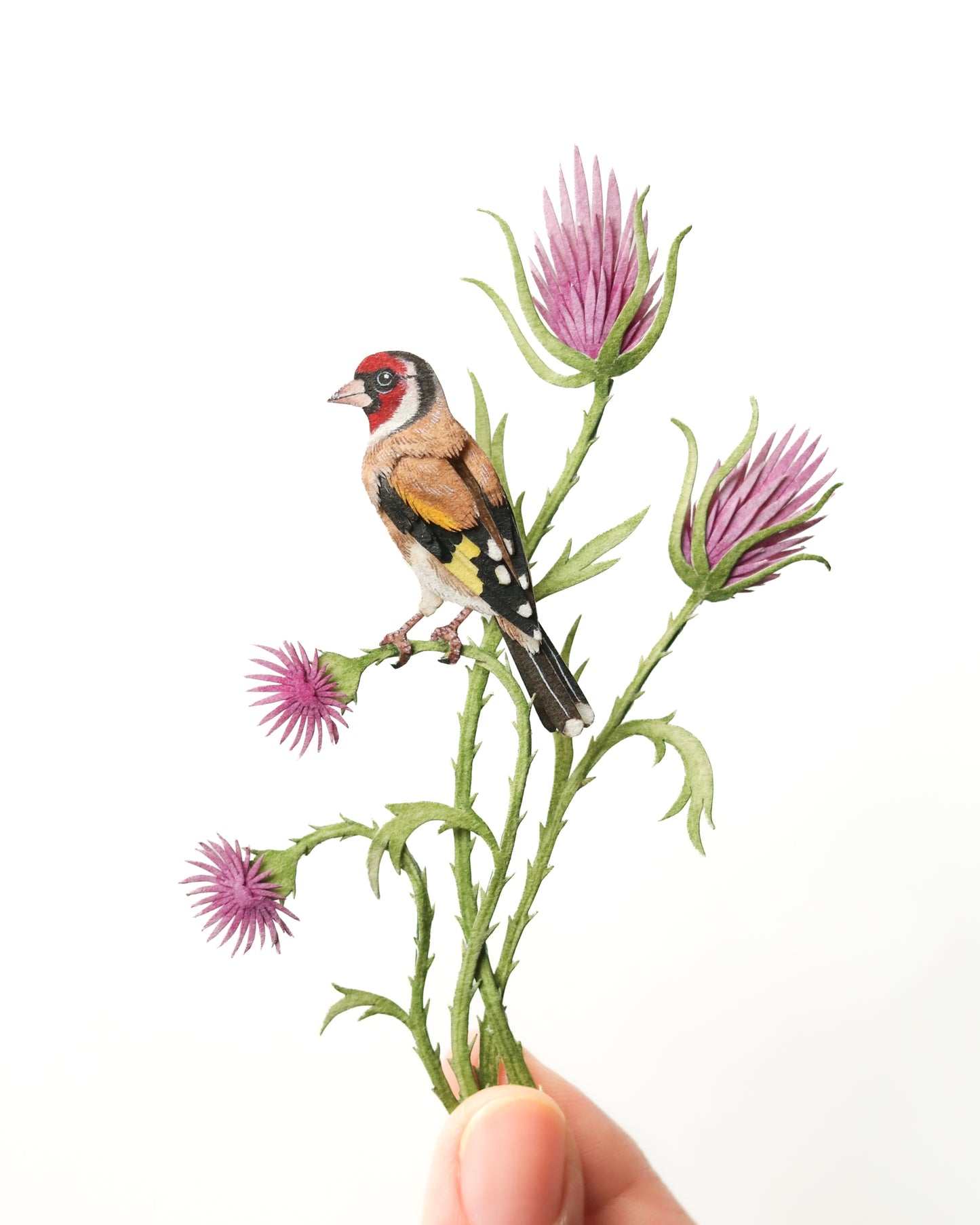 European Goldfinch