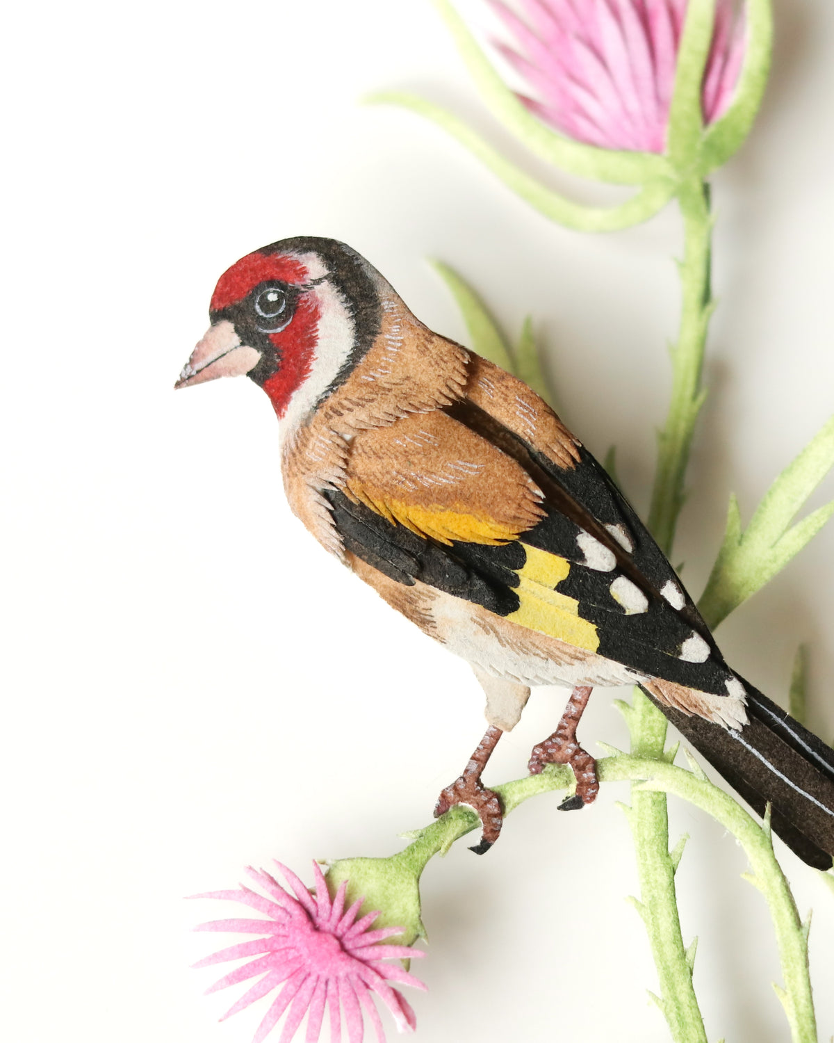 European Goldfinch