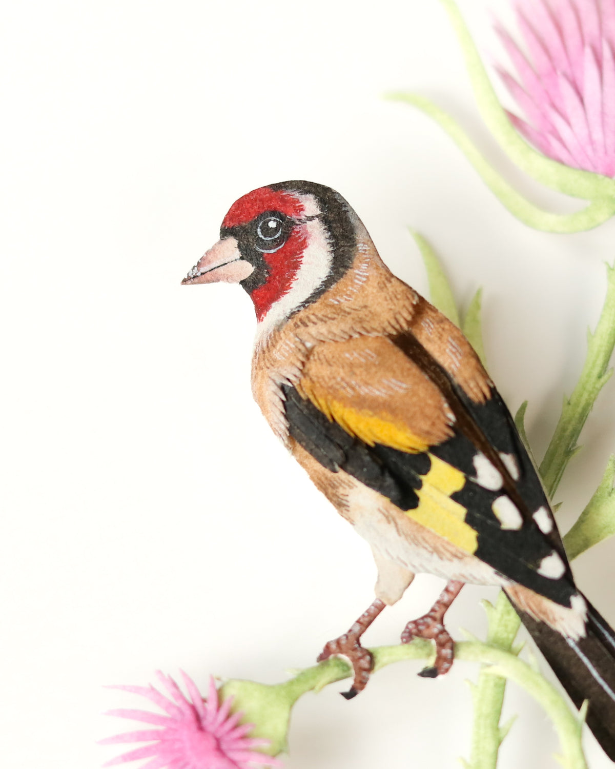 European Goldfinch
