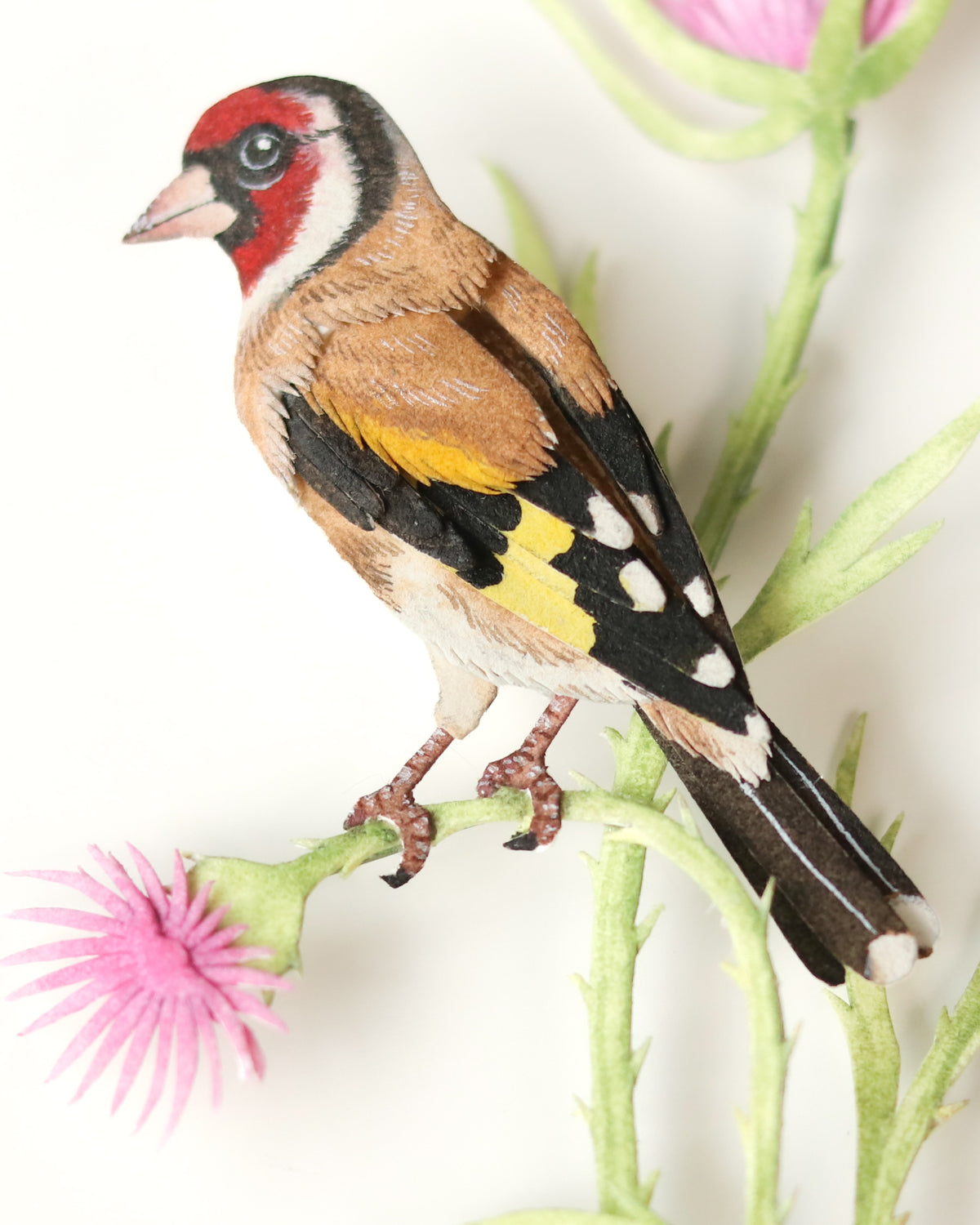 European Goldfinch